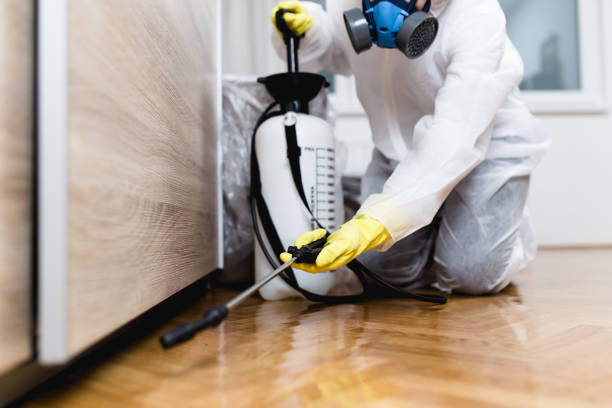 Best Best Pest Control Companies  in Presidio, TX
