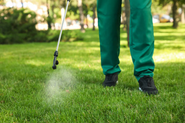 Best Pest Control Near Me in Presidio, TX