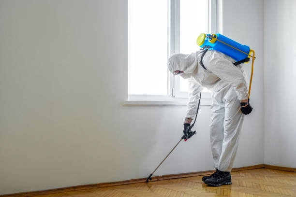 Reliable Presidio, TX Pest Control Solutions