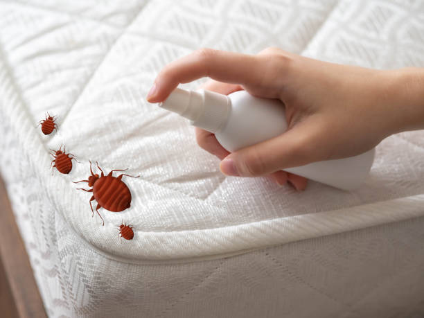Best Pest Prevention Services  in Presidio, TX