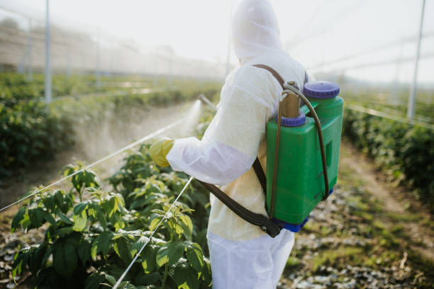 Insect Control in Presidio, TX